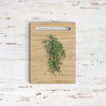 Portfolio 8